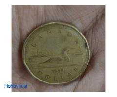 One canadian loniee